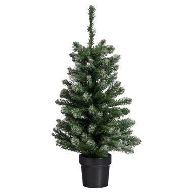 Kerstboom Fiss Frosted Groen product