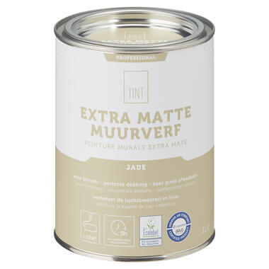 Muurverf Professional Jade - 1 l product