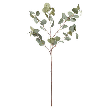 Kunsttak Eucalyptus Groen product