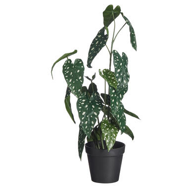 Kunstplant Begonia Groen product