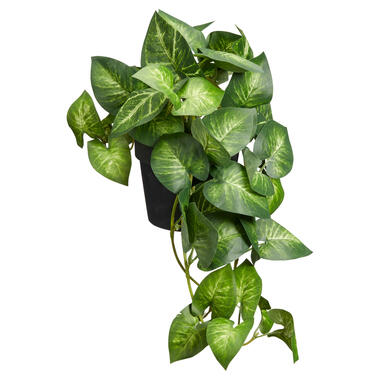 Kunstplant Yngonium Groen product