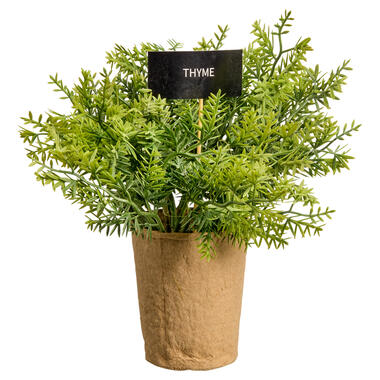 Kunstplant Kweek Thymus Groen product