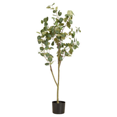 Kunstboom Eucalyptus In Pot Groen product
