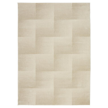 Vloerkleed Anvik Beige 200x290 cm product