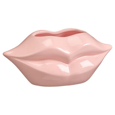 Vaas Lippen Roze product