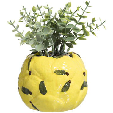 BLOEMPOT CITROEN Geel product