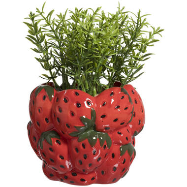 BLOEMPOT AARDBEI Rood product