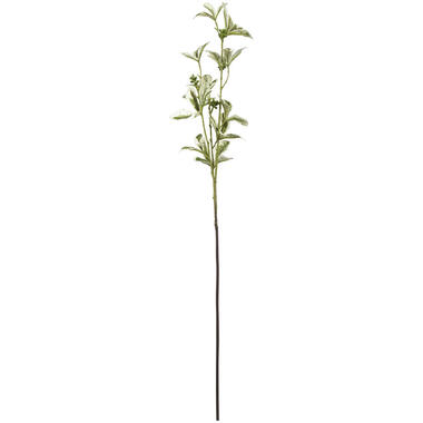 Kunstbloem Eunoymus Wit product