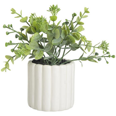 Kunstplant In Pot Freland Wit product