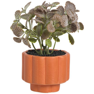 KUNSTPLANT IN POT FRANGY ROOD product