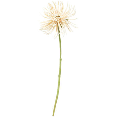 Kunstbloem Mum Spray Beige product