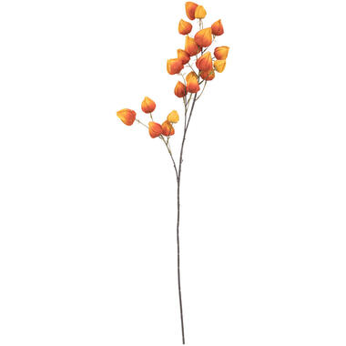 Kunstbloem Physalis Oranje product