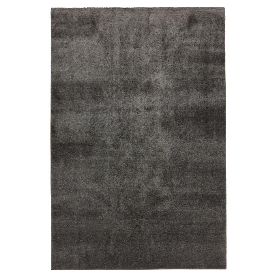 Vloerkleed Mardi Grijs - 160x230 cm