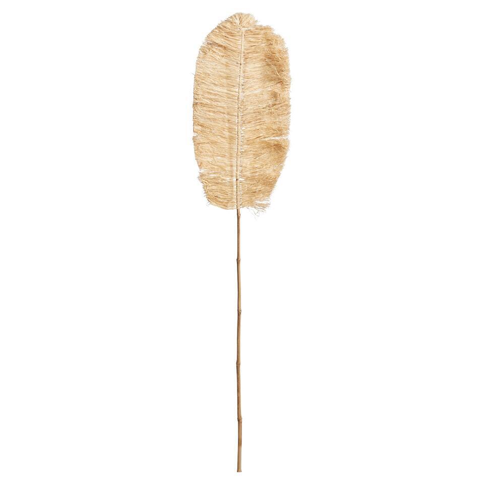 Palmblad Natural Bruin - 118 cm