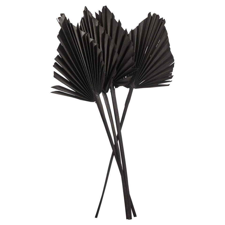 Palmblad Speer Zwart