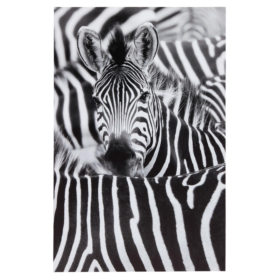 Canvas Zebra Zwart