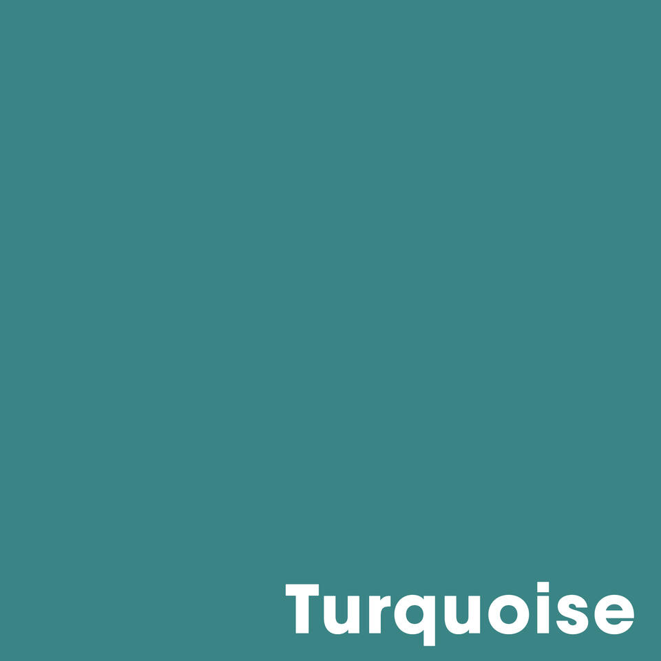 Muurverf Mat Turquoise - 1 l