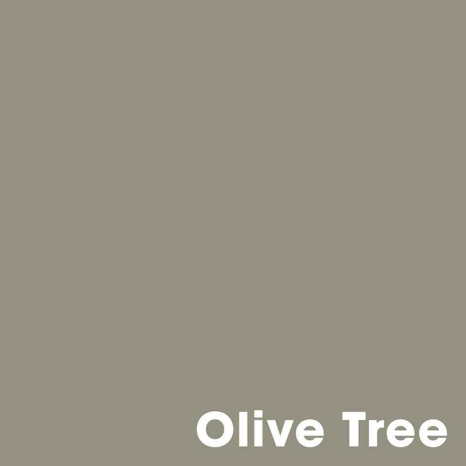 Muurverf Professional Olive Tree - 2.5 l