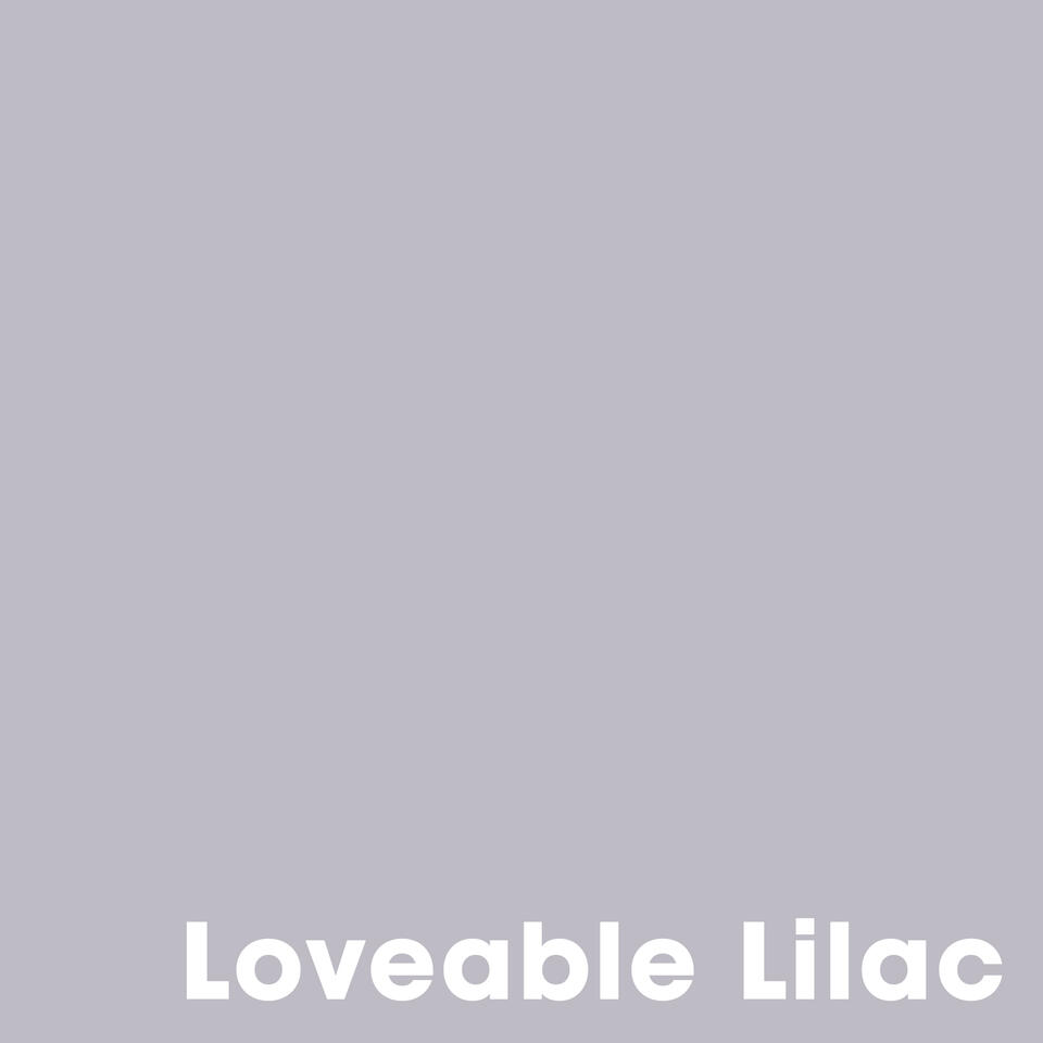Muurverf Professional Lovable Lilac - 2.5 l
