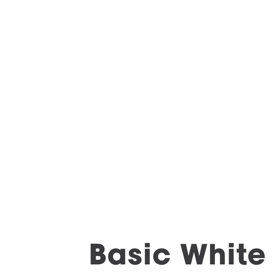 Muurverf Professional Basic White - 2.5 l