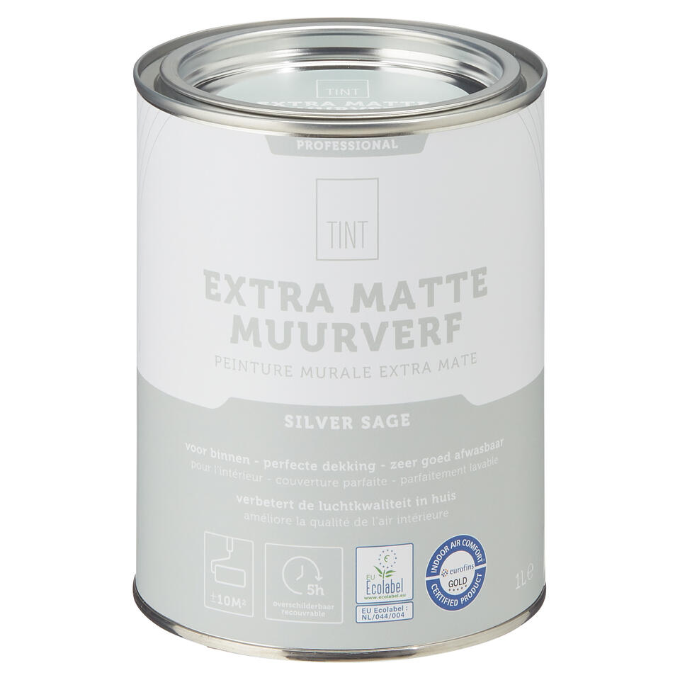 Muurverf Professional Silver Sage 1 l