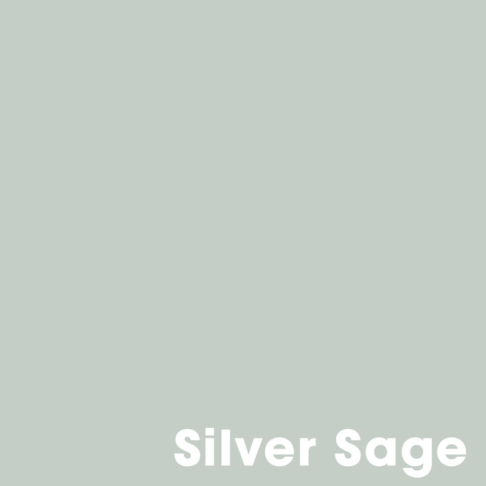 Muurverf Professional Silver Sage 1 l