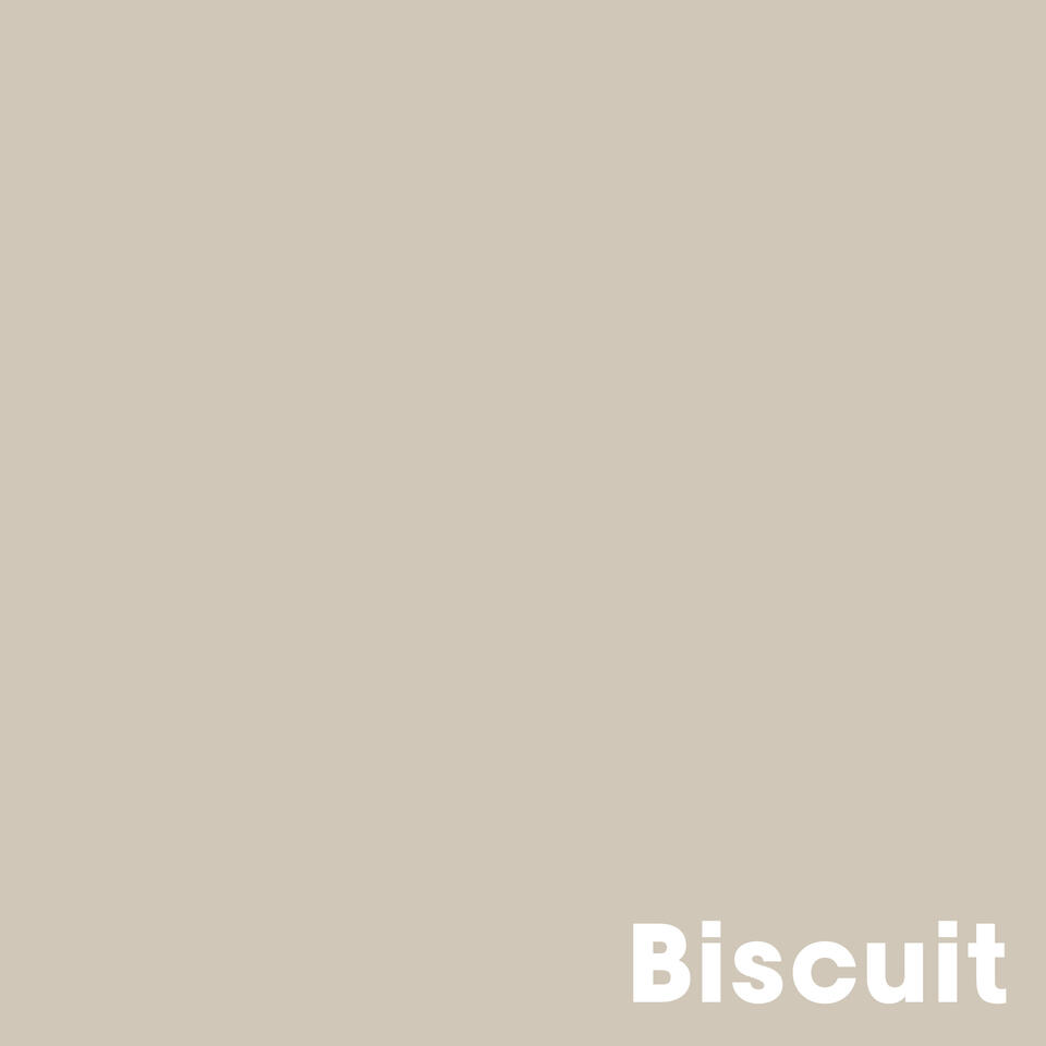 Muurverf Professional Biscuit - 2.5 l