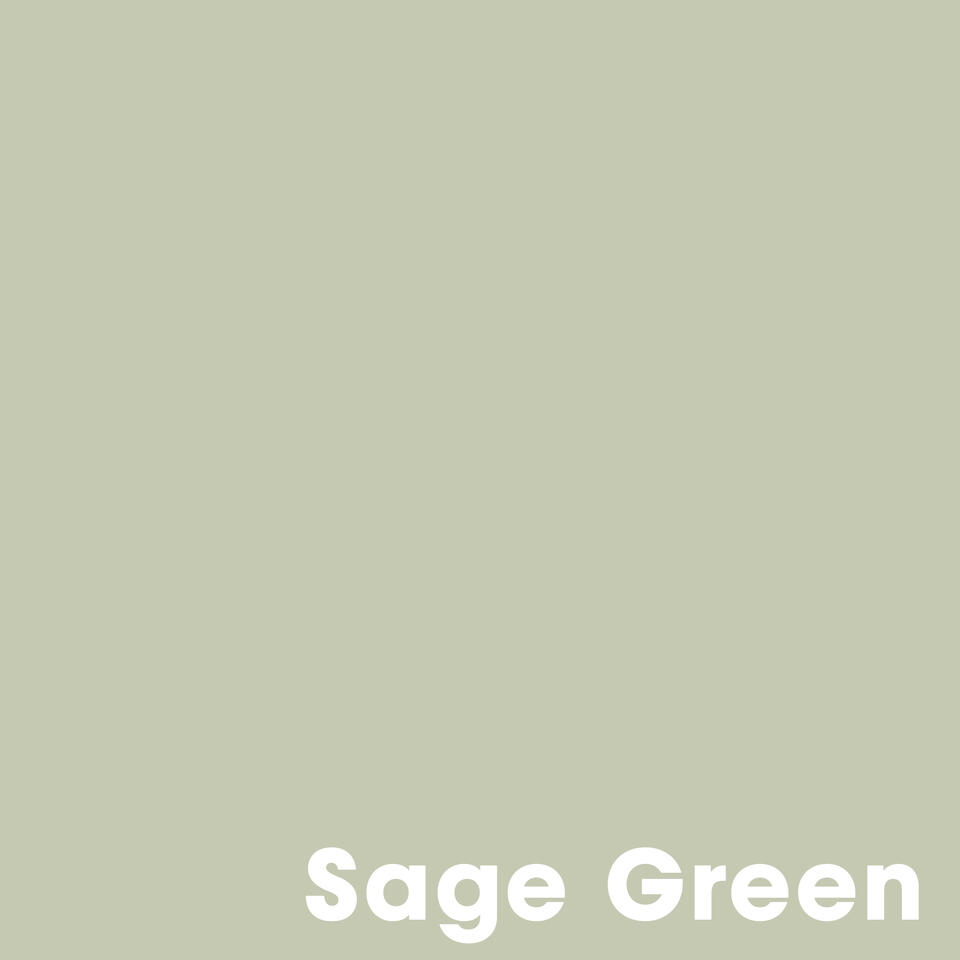 Muurverf Professional Sage Green - 1 l